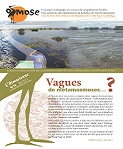 Osmosienne N°9 (nov2016)