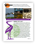 Osmosienne N°3 (décembre 2012) - Osmose, c'est le lac ! Osmosienne N°3 (décembre 2012) - Osmose, c'est le lac !